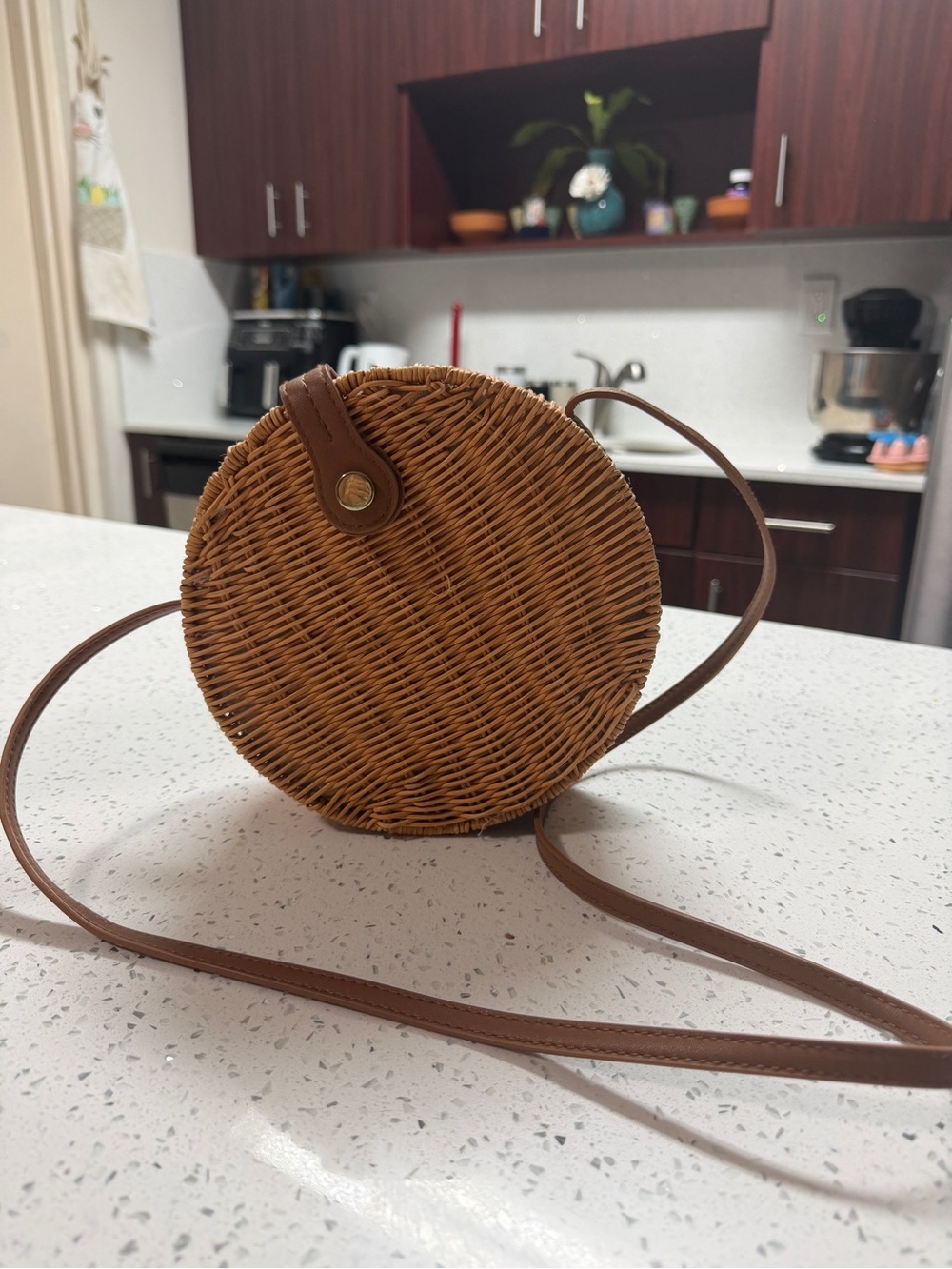 Zara Basic Round Wicker Crossbody Bag Boho Rattan Straw Circle Purse Brown